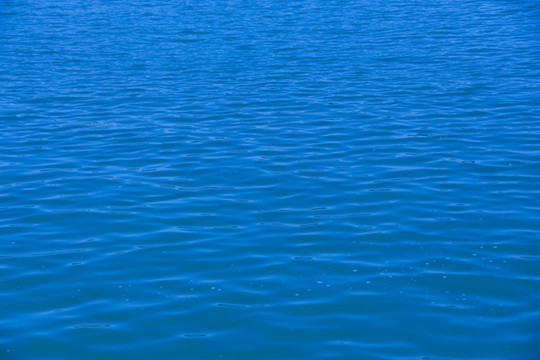 大海