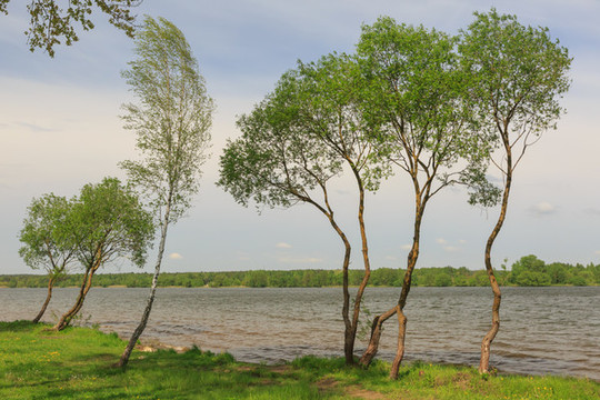 湖泊公園