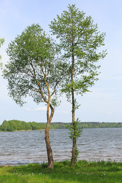 湖泊公園