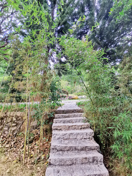 竹林臺(tái)階