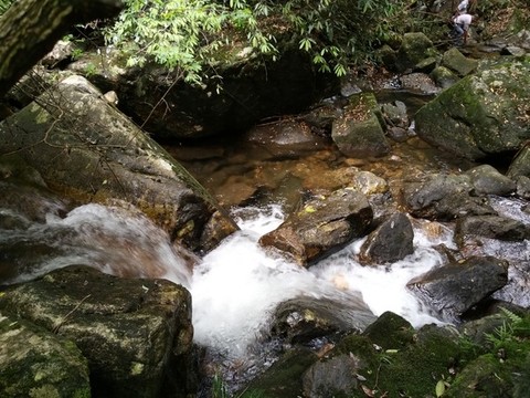石橋