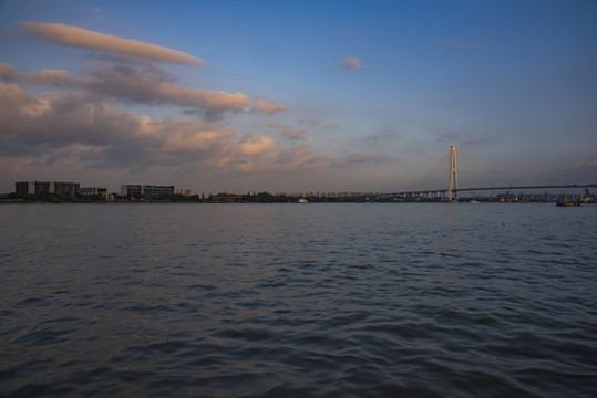 上海南浦大橋