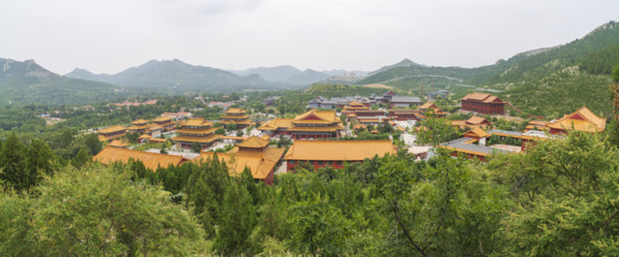 青州龍興寺