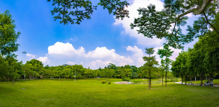 公園