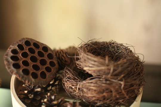 復(fù)古裝飾鳥巢蓮蓬