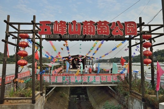 五峰山葡萄公園