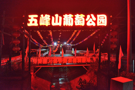 葡萄公園夜景