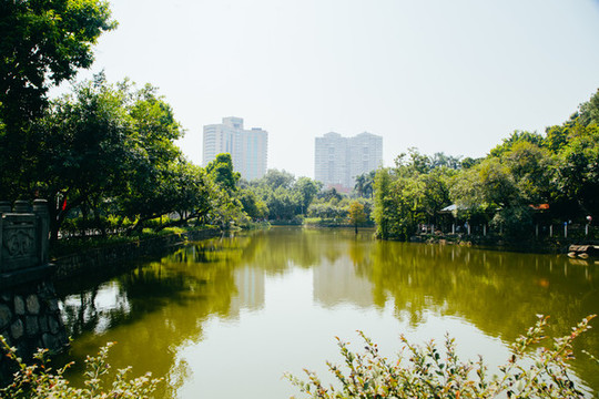 碧綠的湖水