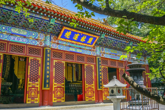 臥佛寺大雄寶殿