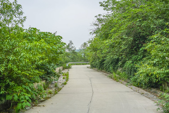森林防火公路