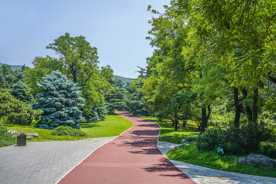 健身步道高清大圖