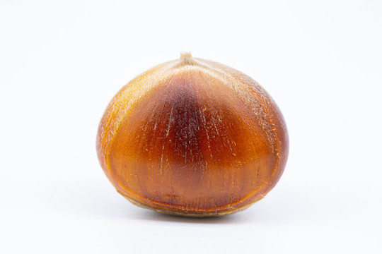 栗