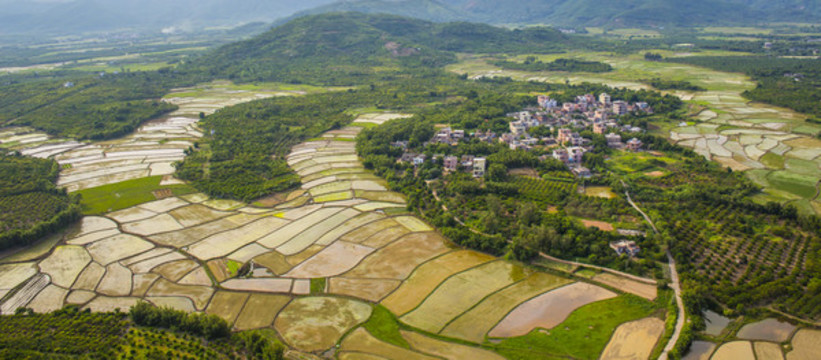 土地