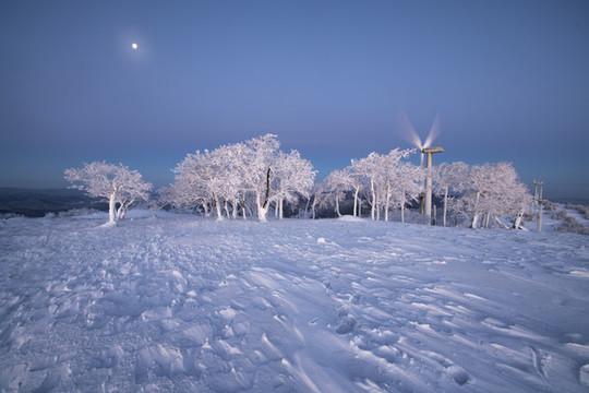 雪