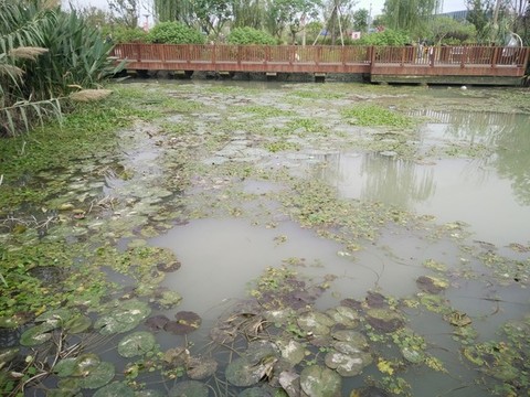景觀園林