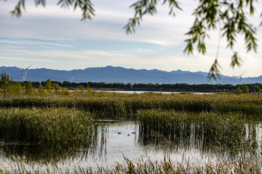 野鴨湖國(guó)家濕地公園