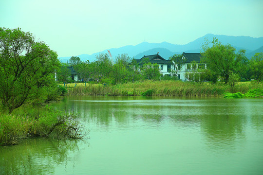 杭州西溪濕地