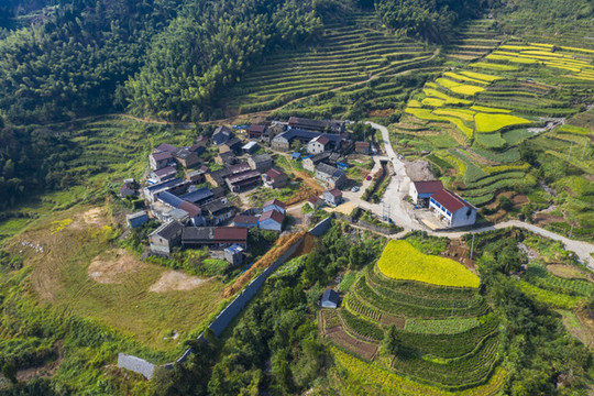 山中村
