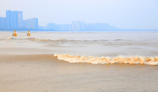 錢(qián)江潮
