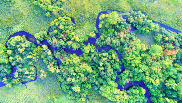 航拍樹(shù)林河流