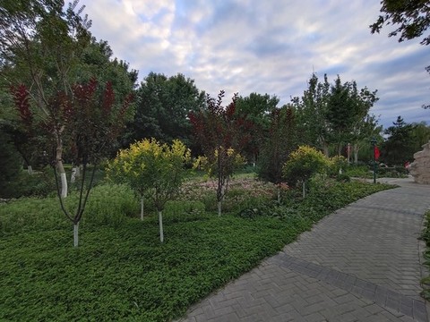 公園小路
