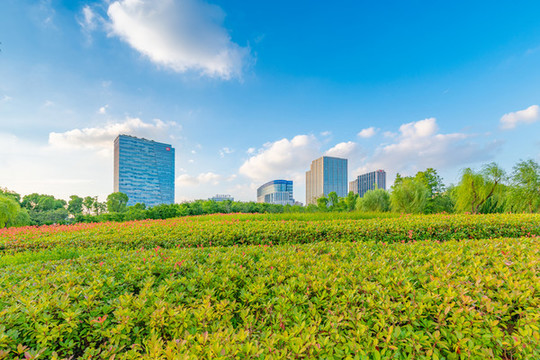 城市花園