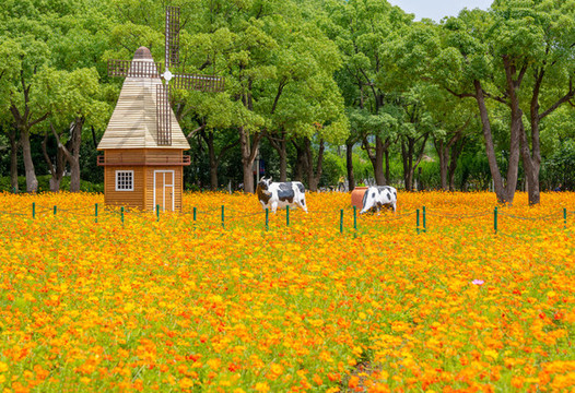 奶牛風(fēng)車花園