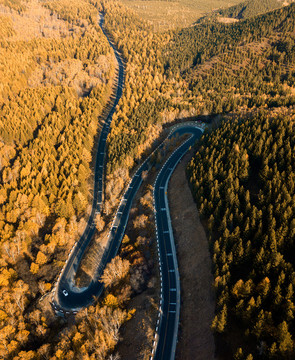 林間大道