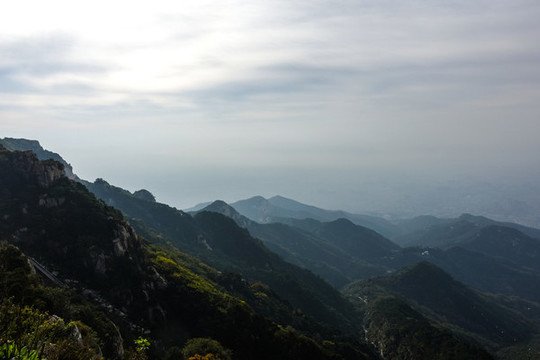 泰山