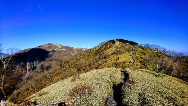高山