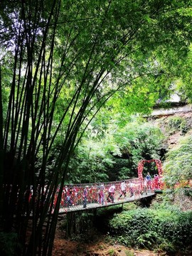川西竹海緣定橋