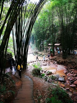 竹海小溪