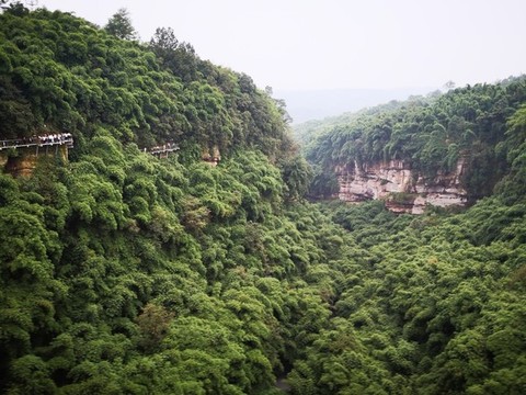 金雞溝