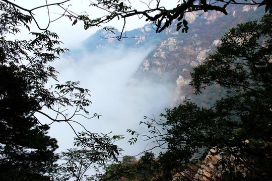 廬山風(fēng)景