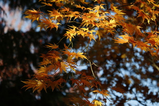 公園一角