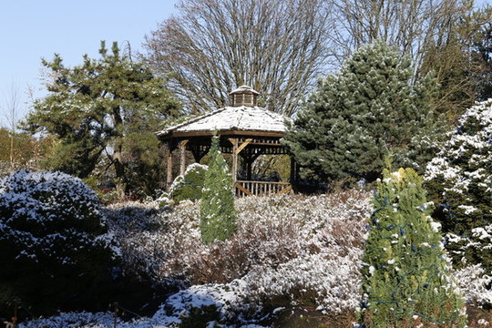 公園一角