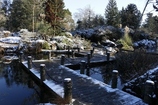公園一角