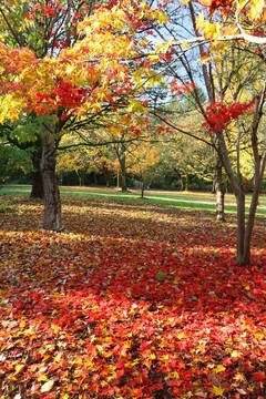 公園一角