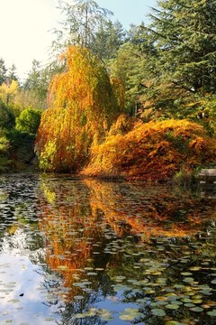 公園一角