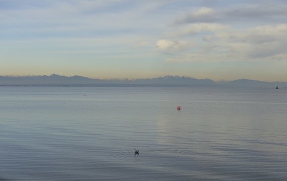 平靜的海面