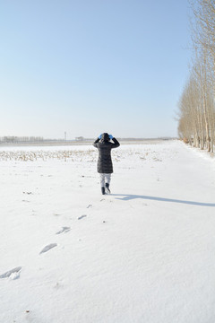 東北雪地