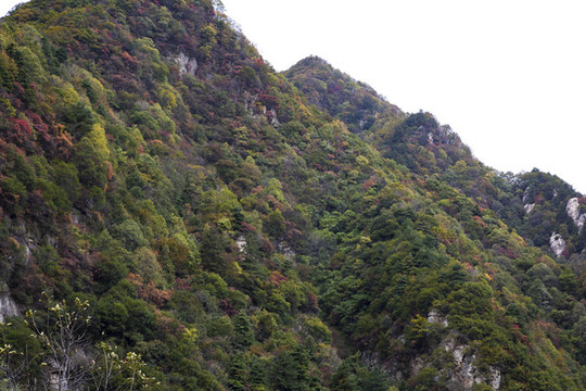 秦嶺山秋景