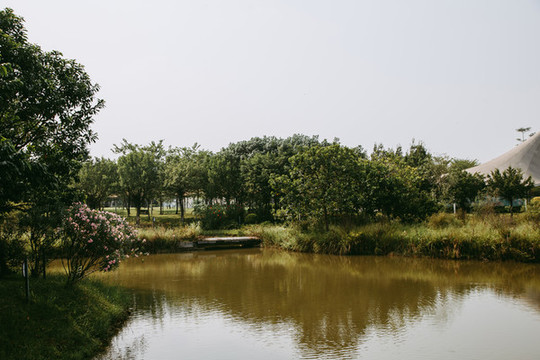 湖水自然風景