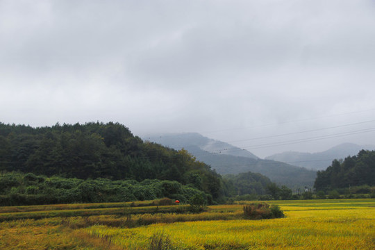 云霧山里