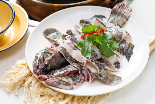 龍膽魚