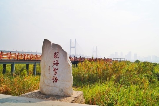 汉口江滩