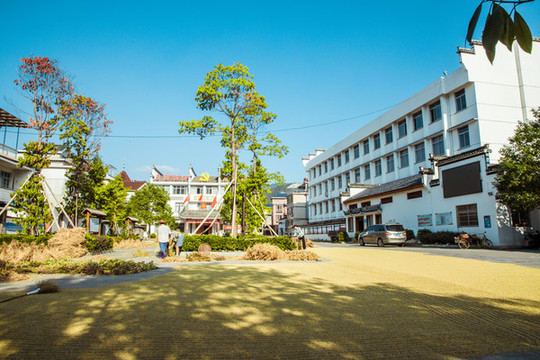 曬谷場