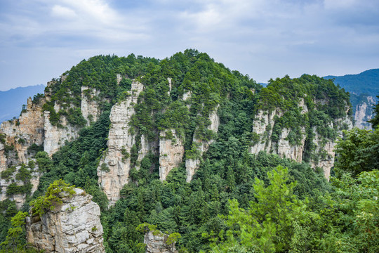 山