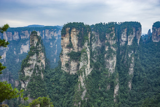 山