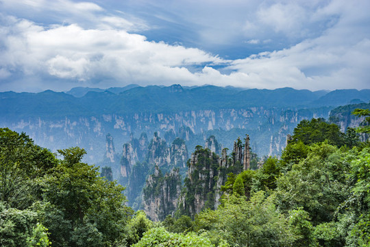山